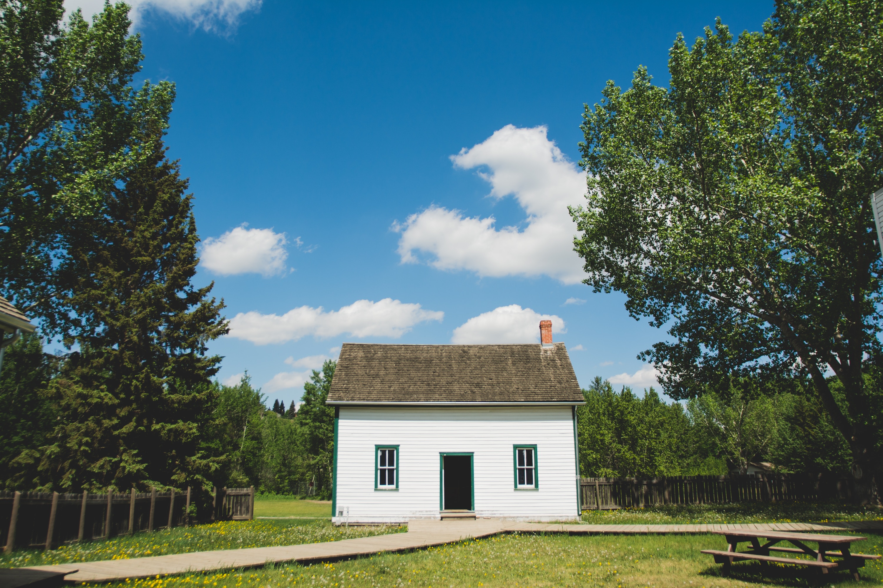 Homebuyers Arboricultural Report